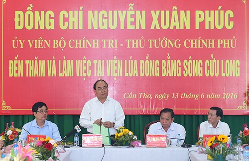 Премьер Вьетнама посетил Институт рисоводства в дельте реки Меконг  - ảnh 1